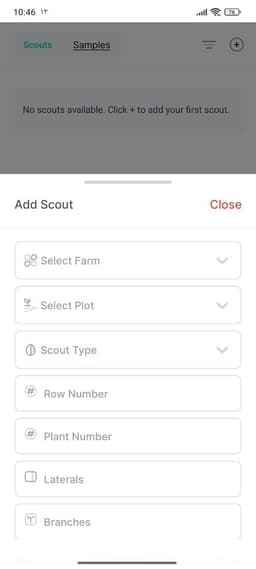 Image Alt Text